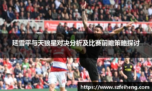 beats365延雪平与天狼星对决分析及比赛前瞻策略探讨